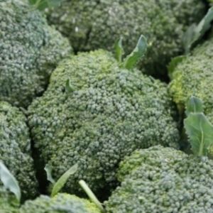 Brokkoli
