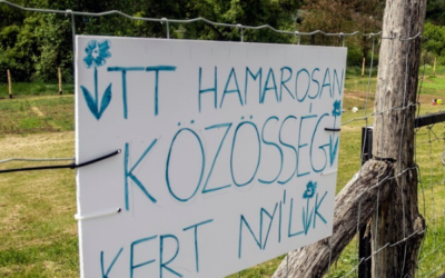 Alakulás és az első kert, a Klisovác kert